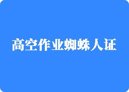 互操网站高空作业蜘蛛人证